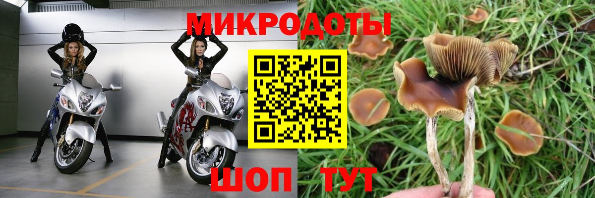 Псилоцибиновые грибы мухоморы  Вход с VPN  Изобильный 